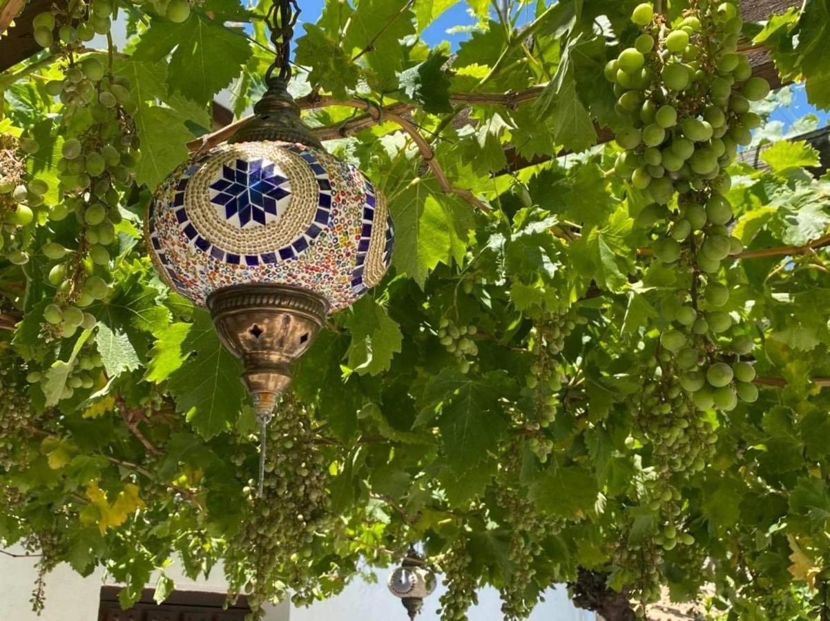B&B Los Lujos Oria Kültér fotó